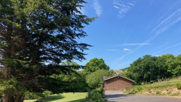 Owl Lodge - Photo 10