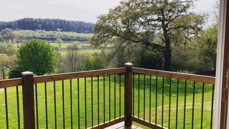 Owl Lodge - Photo 22