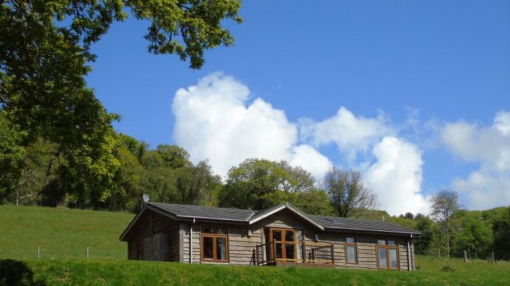 Owl Lodge - Photo 23