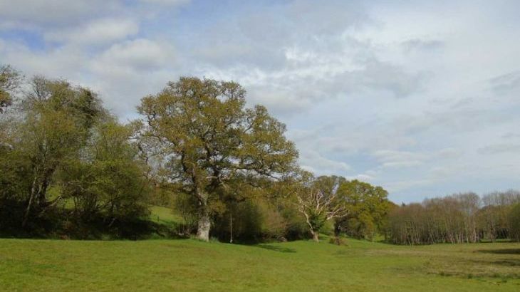 Owl Lodge - Photo 24