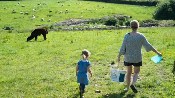 Court Farm Holidays, Marhamchurch, Bude Cornwall, sleeps 17, Photo 9 Court Farm Holidays, Marhamchurch, Bude Cornwall, sleeps 17, Photo 9
