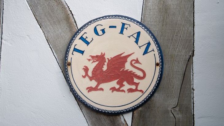 Tegfan - Photo 5