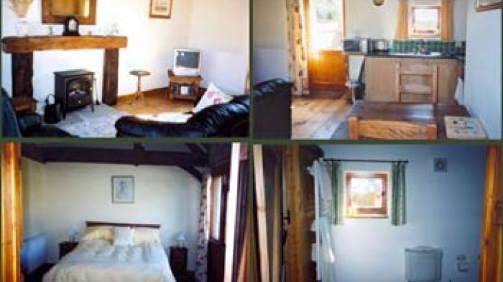 Dog Friendly Pubs In Thame Dog Friendly Pubs In Thame