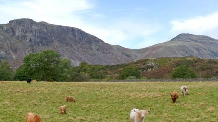 Raceside Farmhouse, Cumbria & The Lake District National Park  - Photo 10