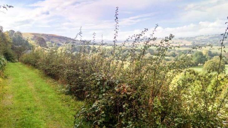 Hiraeth Country Cottage - Photo 13