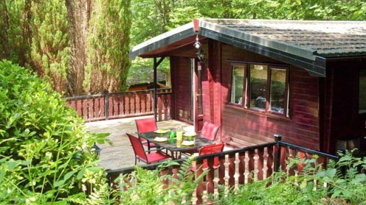 Dog-friendly cottage with swimming pool   in 