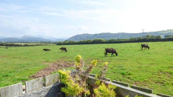 Muncaster View  dog friendly holiday cottage, Ravenglass, Cumbria & The Lake District  - Photo 10