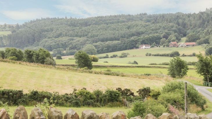 Dairy Countryside Cottage - Photo 15