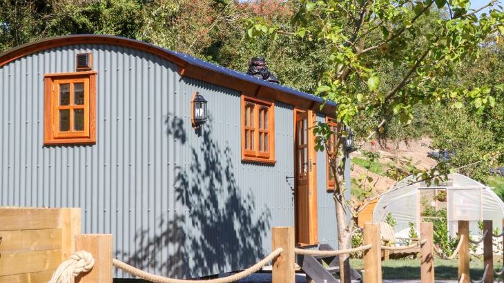 Little Silver Fox Shepherds Hut - Photo 2