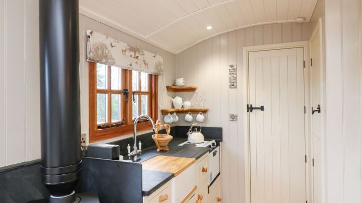 Little Silver Fox Shepherds Hut - Photo 9