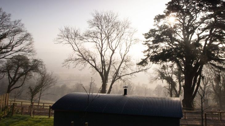 Little Silver Fox Shepherds Hut - Photo 21