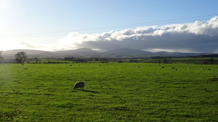 Gamekeeper's Rural Cottage, Northumberland - Photo 34