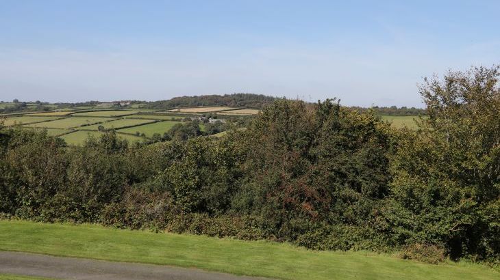 Middle Barn Dogs-welcome Cottage, South West England - Photo 18