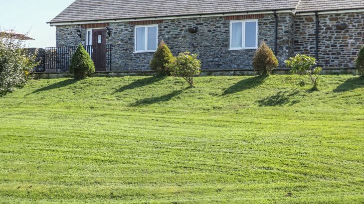 Middle Barn Dogs-welcome Cottage, South West England