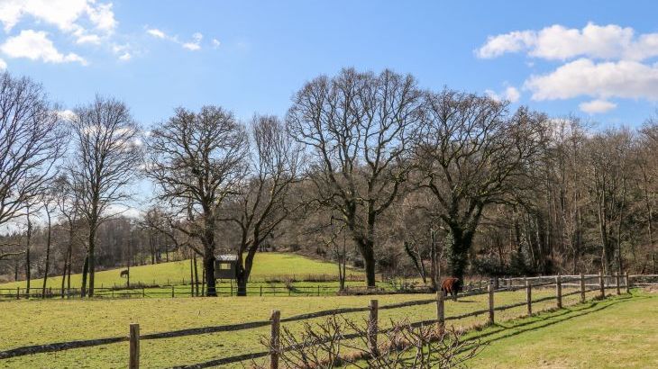 Woodmancote Holiday Lodge - Photo 17