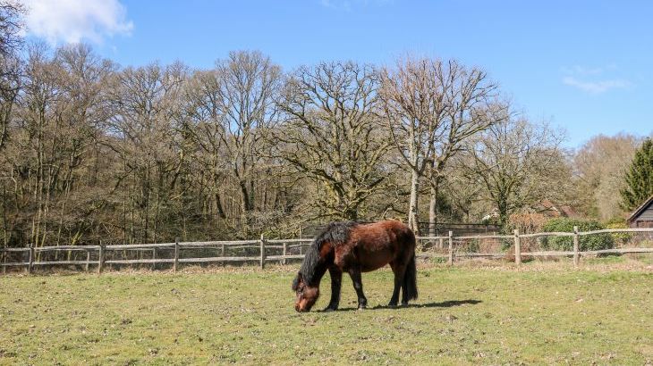 Woodmancote Holiday Lodge - Photo 18