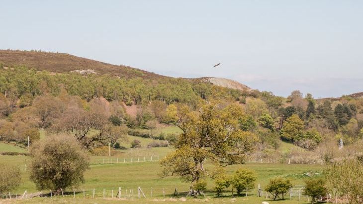 Oakwood Stables Holiday Home, North Wales,  - Photo 14