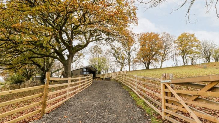 Oak Tree View - Photo 15