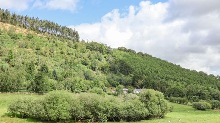 The Little White Pet-Friendly Holiday Cottage, North Wales  - Photo 14