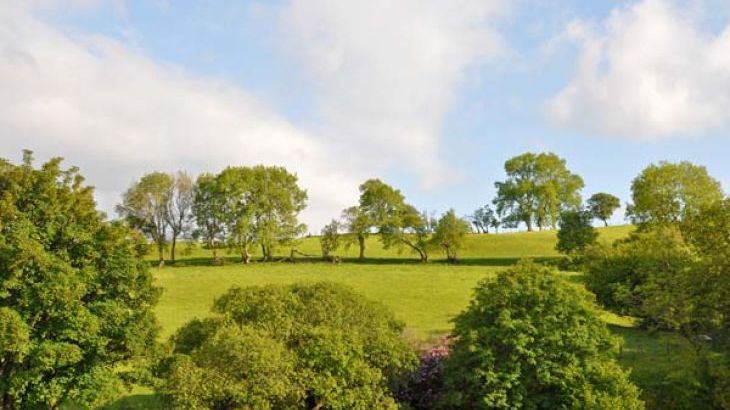 Hendre Aled Farmhouse - Photo 15