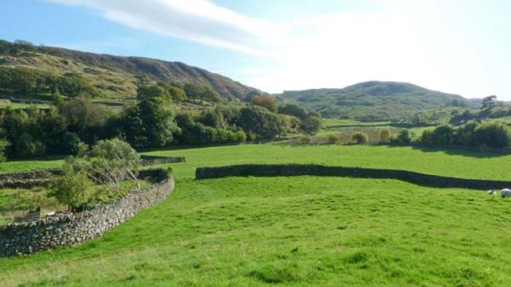 Yew Tree Cottage - Photo 9