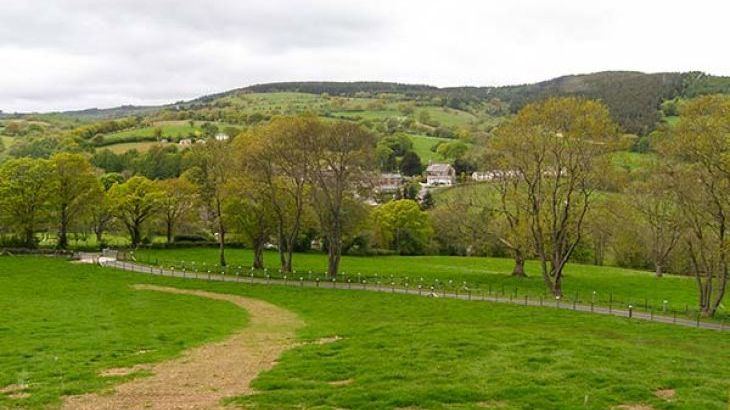 Tyn Y Celyn Uchaf - Photo 16