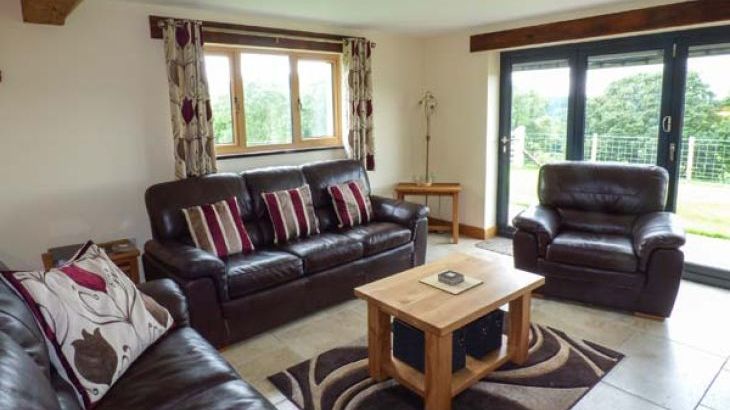 Tyn Y Celyn Uchaf - Photo 3