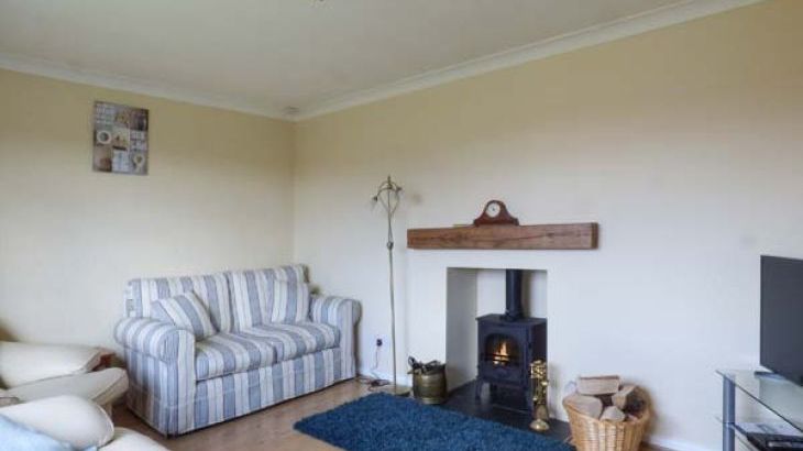 Skylark - Photo 1