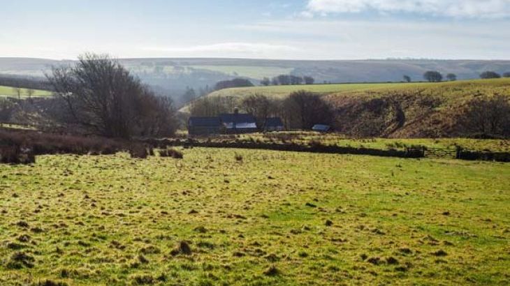 Limecombe - Photo 14