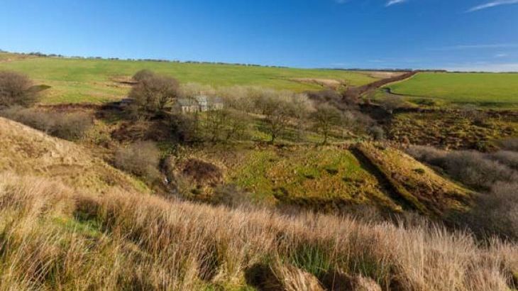 Limecombe - Photo 15