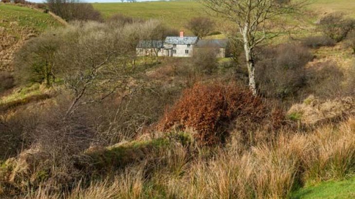 Limecombe - Photo 24