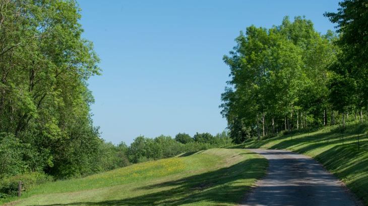 Mill Cottage - Photo 21