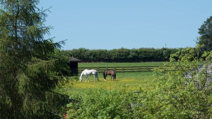 Mill Cottage - Photo 24