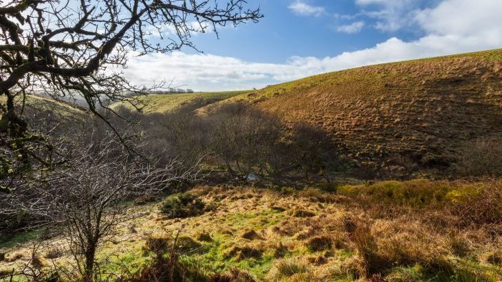 Limecombe - Photo 23