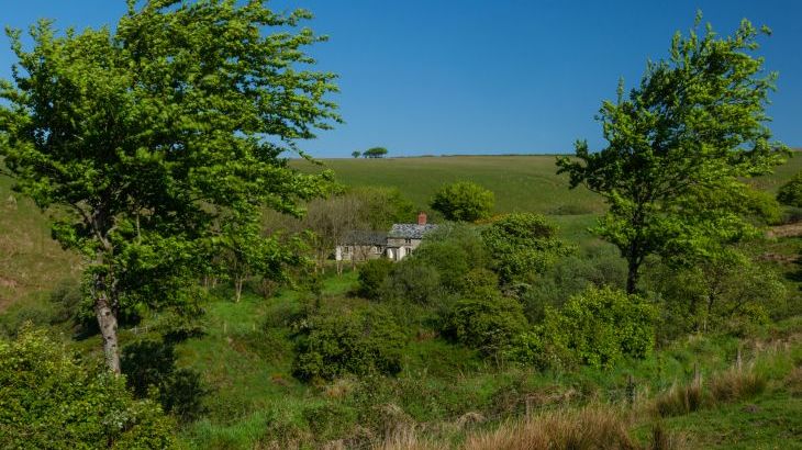 Limecombe - Photo 17
