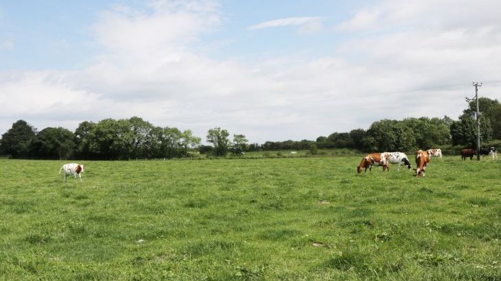 Piggery Cottage - Photo 17