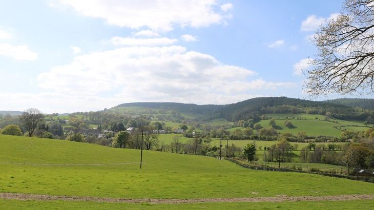 Tyn Y Celyn Isaf - Photo 29