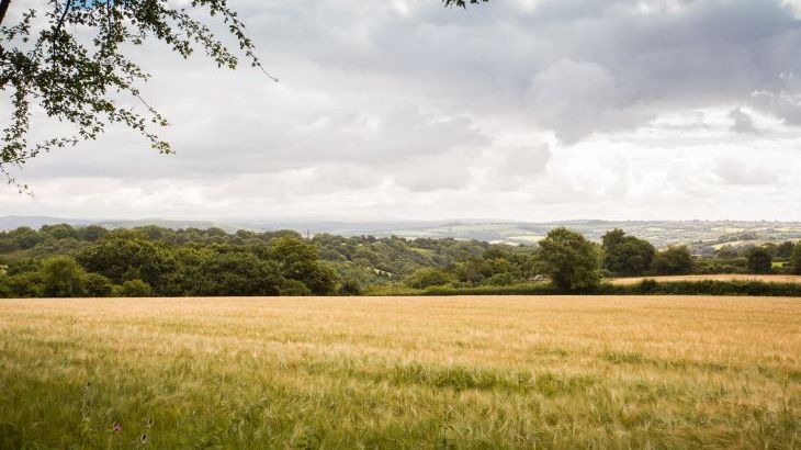 Dartmoor View - Photo 22
