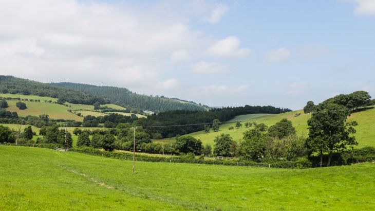 Tyn Y Celyn Isaf - Photo 33