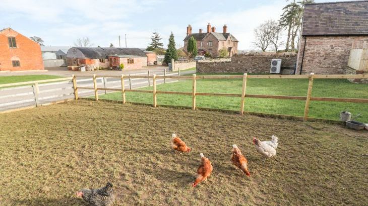Bull Barn Conversion - Photo 27