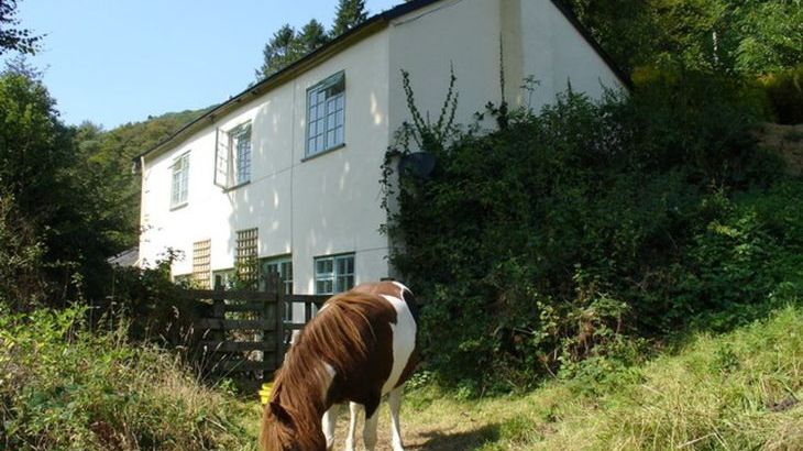 Barn Cottage - Photo 24