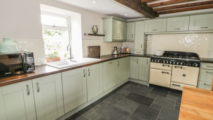 Plas Mawr - Photo 8