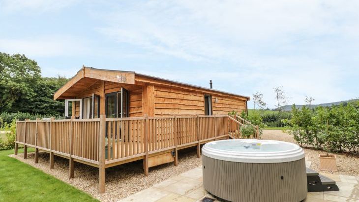 Mallard - Main Photo