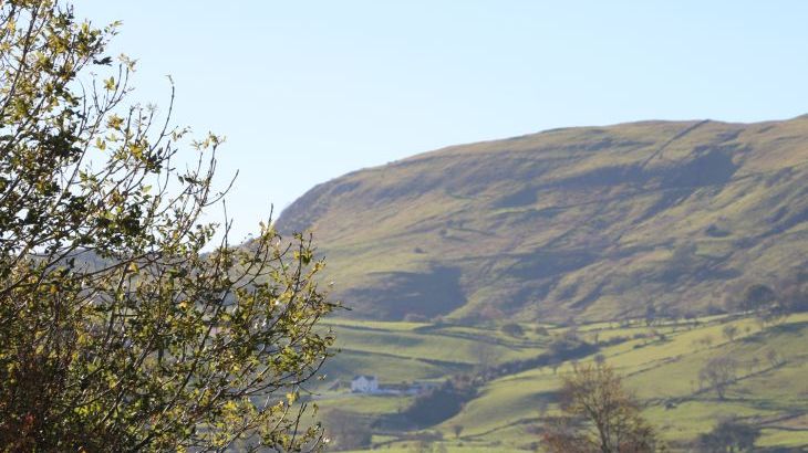 Cranny Corner - Photo 11
