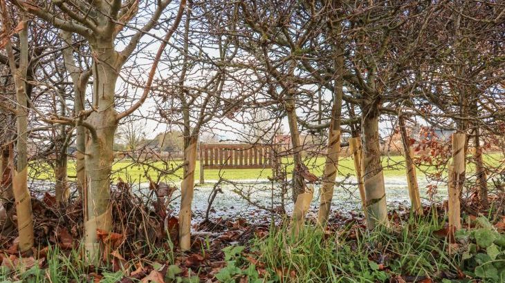 28 Oxborough - Photo 27