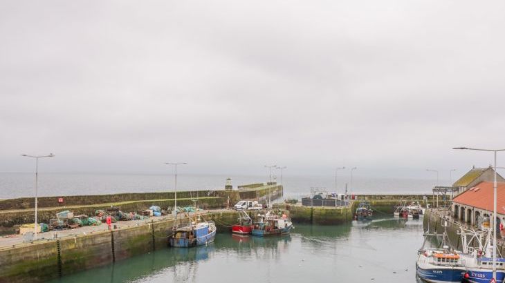 Maimie’s Harbourview - Photo 18