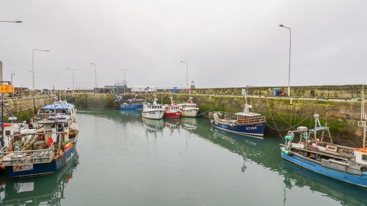 Maimie’s Harbourview - Photo 23