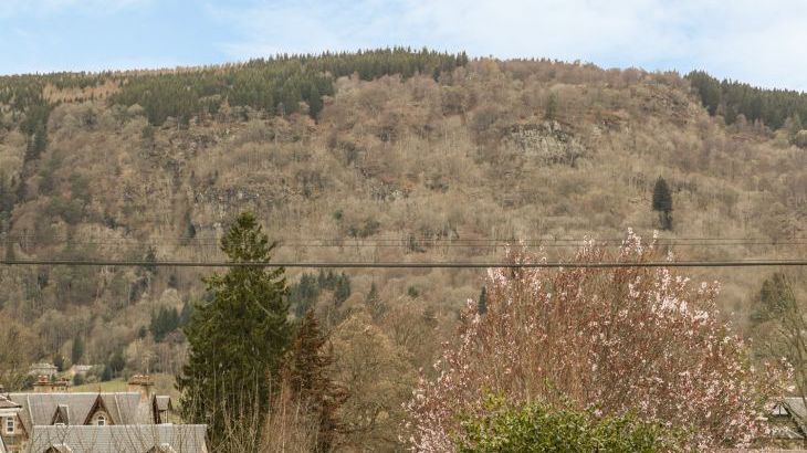 Cromallt - Photo 12