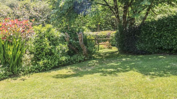 Meadow Lea - Photo 25