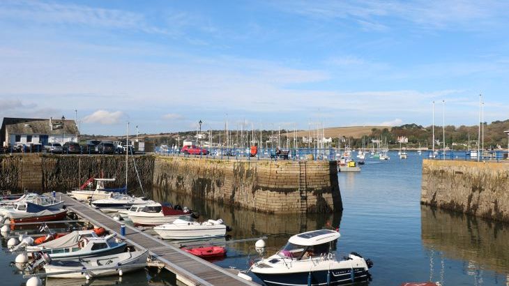 Little Chycoose - Photo 46